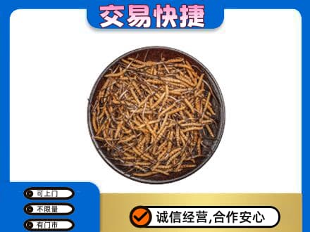 怀化会同县礼品回收虫草.jpg